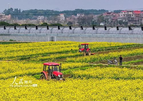 1024国产基地在线,探索中国科技产业的创新与发展  第3张