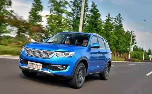 1769国产,国产生命力初现的历史节点  第2张