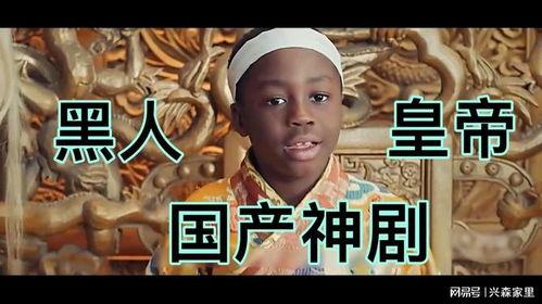 黑人国产,非洲独立运动的辉煌篇章  第2张